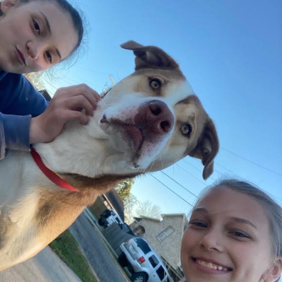 Meet your Posher, Maddison - Picture 11 of 12